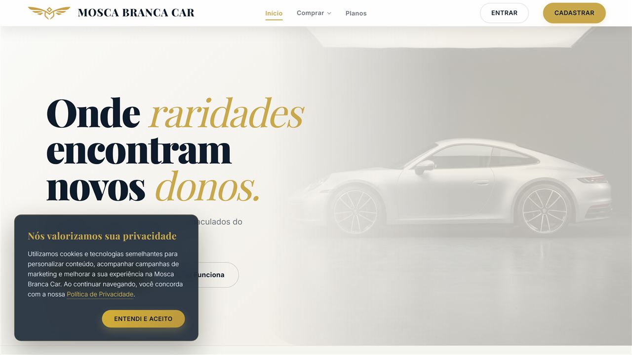 Screenshot do site Mosca Branca Car